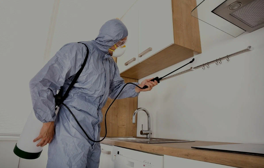 Lake Forest pest managment